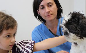 Veterinarian examining a dog, while a little girl is holding the dog