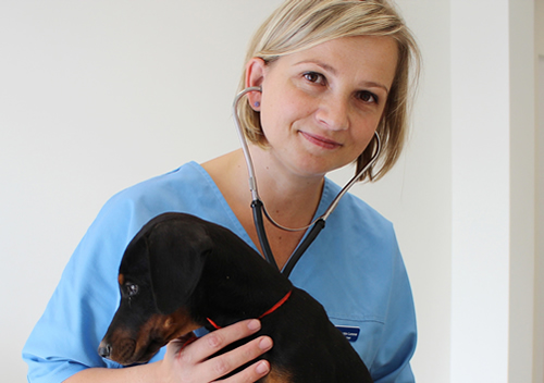 Medic veterinar Dr. Paraschiv Lorena