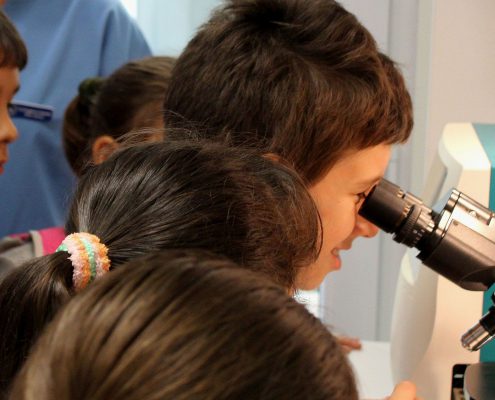 Child looking into the microscope